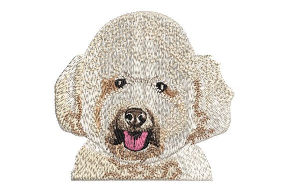 White Poodle: A Designer's Review for Real Projects